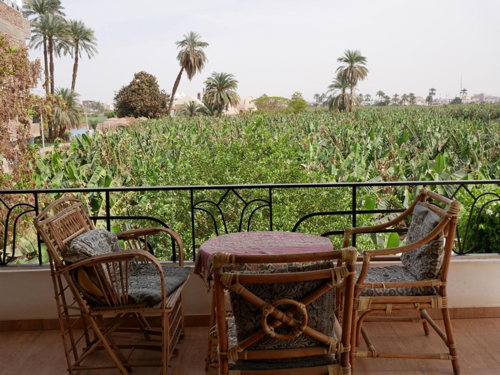 Villa Quiet Place Luxor Bagian luar foto